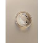 Кроншнеп кулён