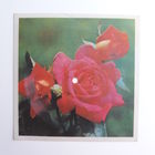 Гибкая пластинка с песней "Горько" Исп. ВИА "Синяя птица". Студия звукозаписи Киев.