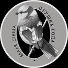 Белая синица, 10 рублей 2022, Ag РЕДКОСТЬ!