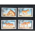 Монголия-1988 (Мих.1995-1998) гаш. , Фауна (полная серия)