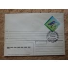 Беларусь. КПД. 1994. Птицы