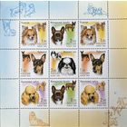 Россия, 2000, Фауна. Декоративные породы собак. М/лист **MNH