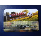 Календарик 2006 г.  Нужна "стенка"? Поставь забор!