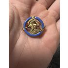 Значок. Лыжник