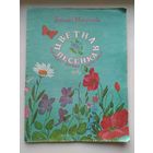 Татьяна  Иштрикова Цветная песенка