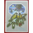 С новым годом! Чистая. 1990 года. Куртенко. 1120.