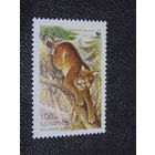 Беларусь 2000 г. Европейская рысь.