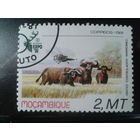 Мозамбик, 1981. Международная выставка охоты в Пловдиве, вертолет и животные