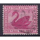 154а.Aust. Великобритания. Австралийские штаты. Западная Австралия. Чёрный лебедь. Стандарт. 1898 г. 1p. Mi.#44.