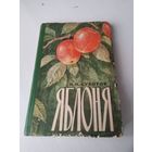 ЯБЛОНЯ. /12