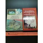 Книга Любительское кролиководство (одним лотом).