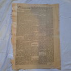 Газета Звезда, 12 июля 1919г.