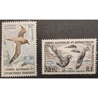 Французские антарктические территории. 1959г. Птицы.