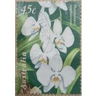 Австралия 1998. Фаленопсис. Орхидея