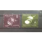Польша. 1990 год. Раковины (2 марки из серии)