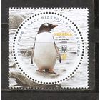 ФФ2 Украина 2020 Пингвин