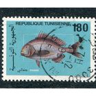 Тунис. Фауна. Рыбы