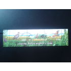 2007 Фауна, нижняя сцепка