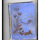 НАДСОН. Стихотворения, СПб, 1902г.