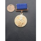 Медаль Юный участник ВДНХ