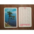 Карманный календарик.1977 год.Аэрофлот