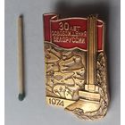 Знак большой значок 30 лет Победы Беларусь