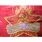 СУПЕР РЕДКОСТЬ!!! Знамя с именем СТАЛИНА сохранённое во времена гонений. Шёлк. Вышитое.