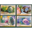 2006 Аквариумные рыбы - Дискус Беларусь