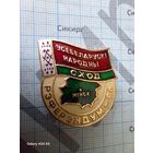 Знак Всебелорусское народное собрание. Референдум - 1996. Знак участника