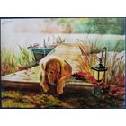 Ожидание. Т.Устьянцева. Беларусь. 2020 г.