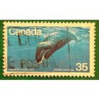 Канада 1979. Гренландский кит