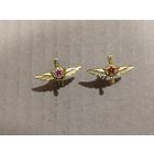 Эмблемы ИАС ВВС СССР - (на усах)