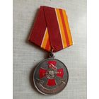 Медаль. За службу в спецназе. СЭНС.