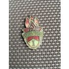 Знак Всегда Готов 1 степень