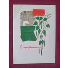 С Праздником 1 Мая! Анискин 1966 г. Чистая.