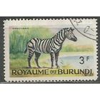 Бурунди. Животный мир страны. Зебра. 1964г. Mi#91.
