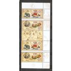 ФФ5 Украина 2003 Путь из варяг в греки