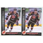 Алексей Калюжный / "Авангард" Омск/ серебряная и базовая вариации/  Коллекция "SeReal Карточки КХЛ 2010-2011".