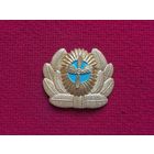 Кокарда гражданской авиации СССР