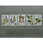 Продажа коллекции с 1 рубля! Чистые почтовые марки СССР в коллекционном** состоянии.