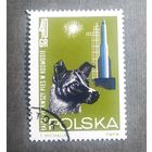 Марка Польша 1964 год Космос
