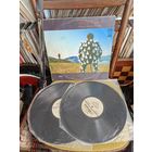 Pink Floyd Delicate Sound of Thunder 2LP Двойник Виниловая пластинка