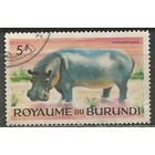 Бурунди. Животный мир страны. Бегемот. 1964г. Mi#94.