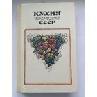 Кухня народов СССР