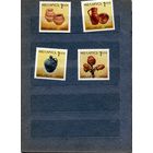 Беларусь, 1992,   Прикладное искусство. Керамика,  серия 4м номер 18-21(Мартынов)