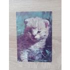 Календарик 1992