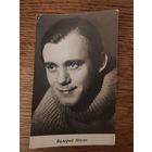 Артисты Носик