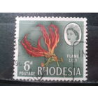 Родезия, 1966. Растение и королева Елизавета II