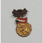 Значок " 1 DPPOV". Чехословакия. Латунь.