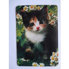 Календарик 1997 г. Котенок и ромашки.